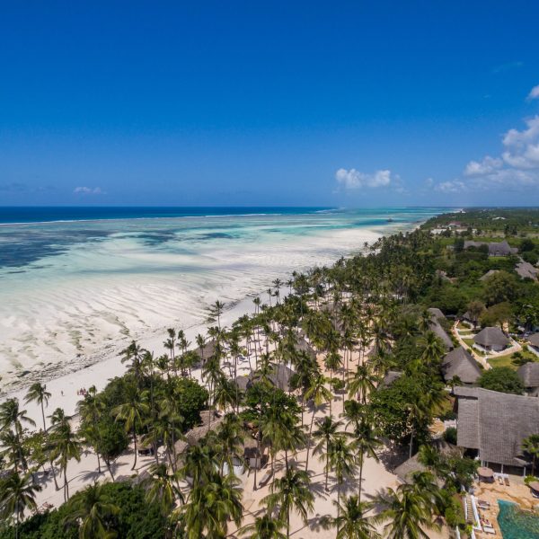 An aerial shot of houses by the palm trees on the beach by the ocean captured in Zanzibar, Africa